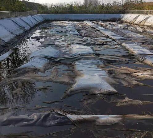 垃圾滲濾液