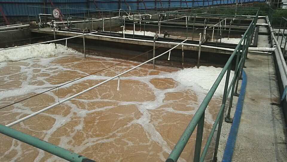 污水處理廠=資/能源工廠：荷蘭早期實踐